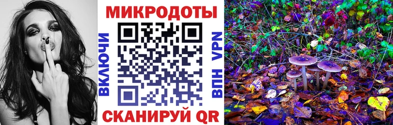 Псилоцибиновые грибы Psilocybe Трубчевск